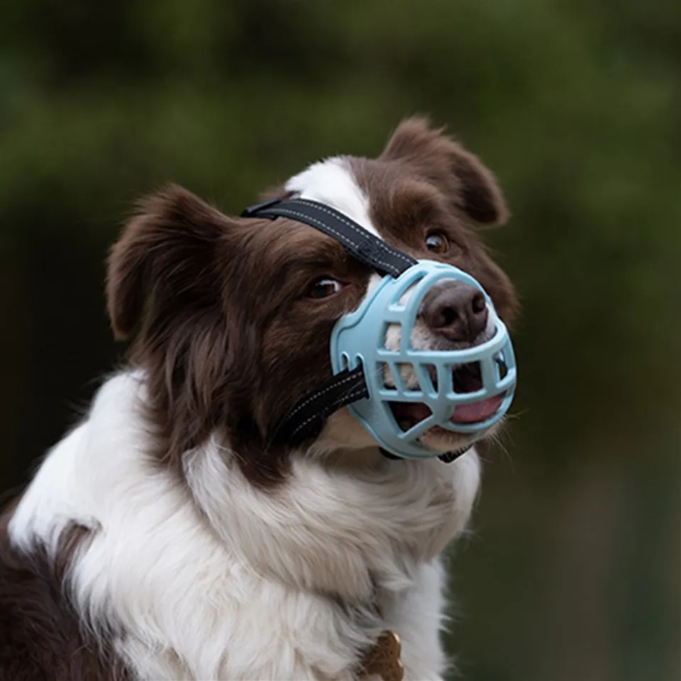 Muso per cane stile cestino