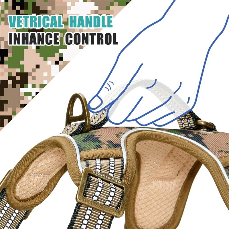 product-800-800